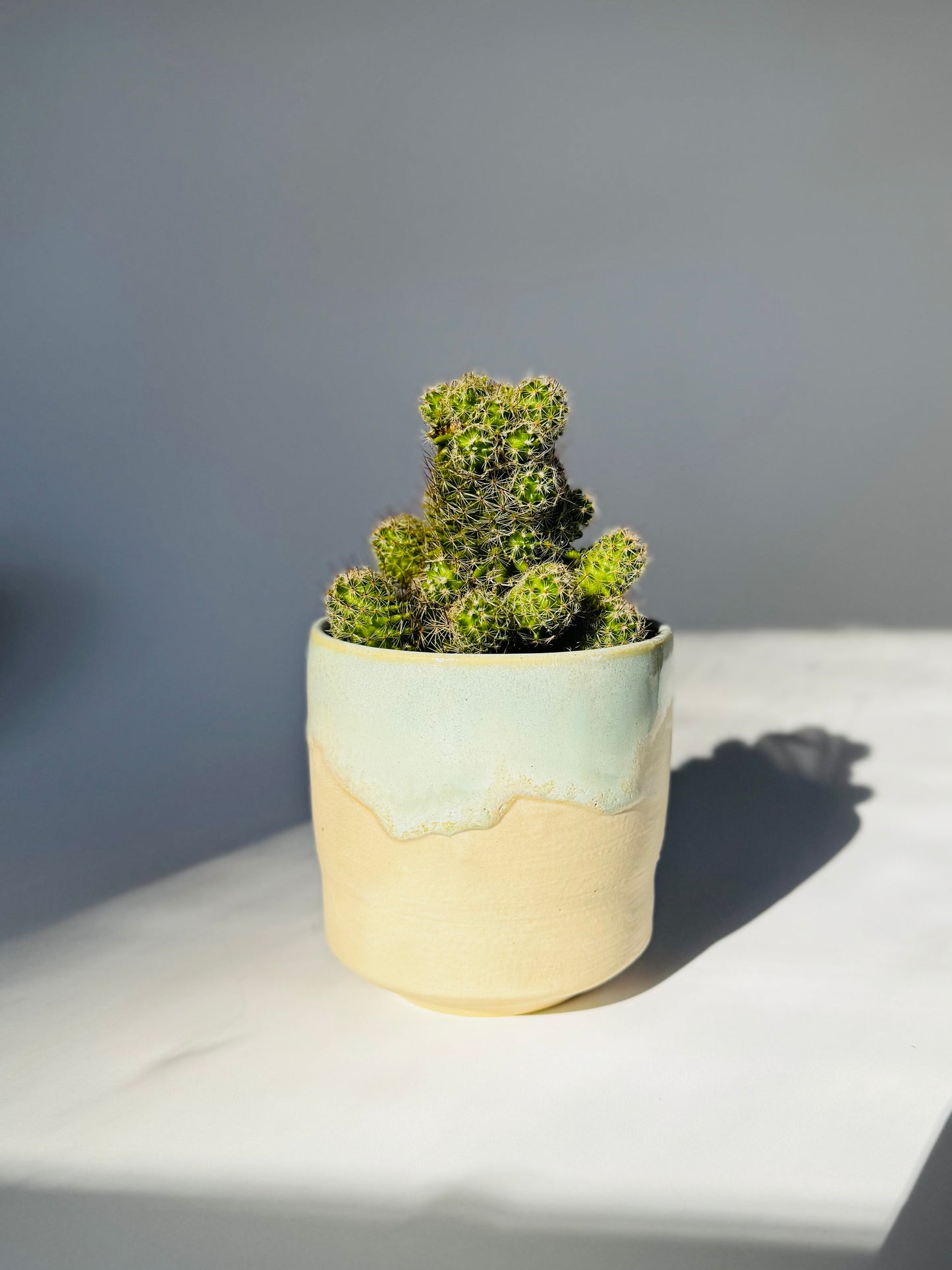 Moss Matte Cylindrical Planter, Small