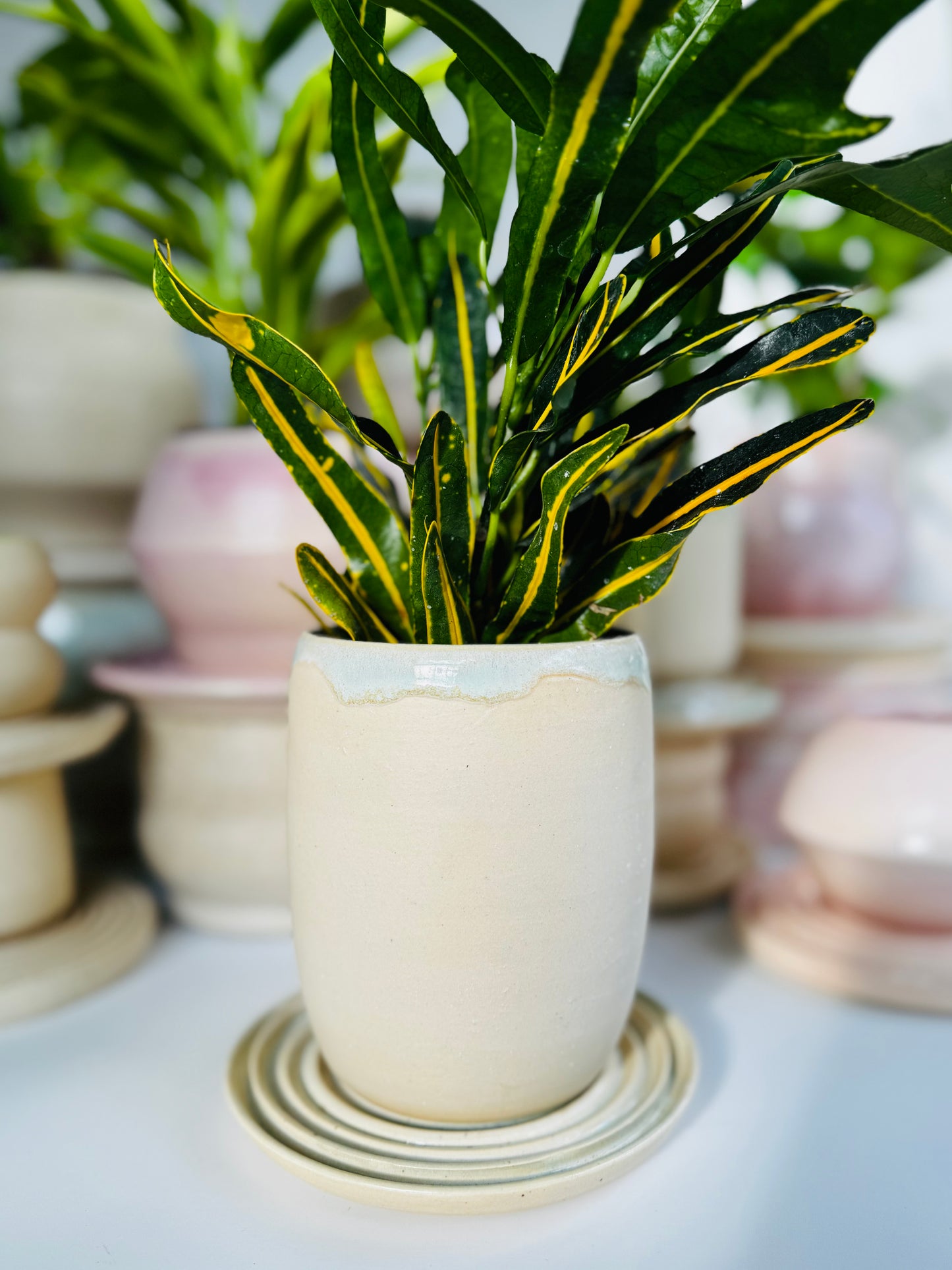 Moss Matte Cylindrical Planter, Medium