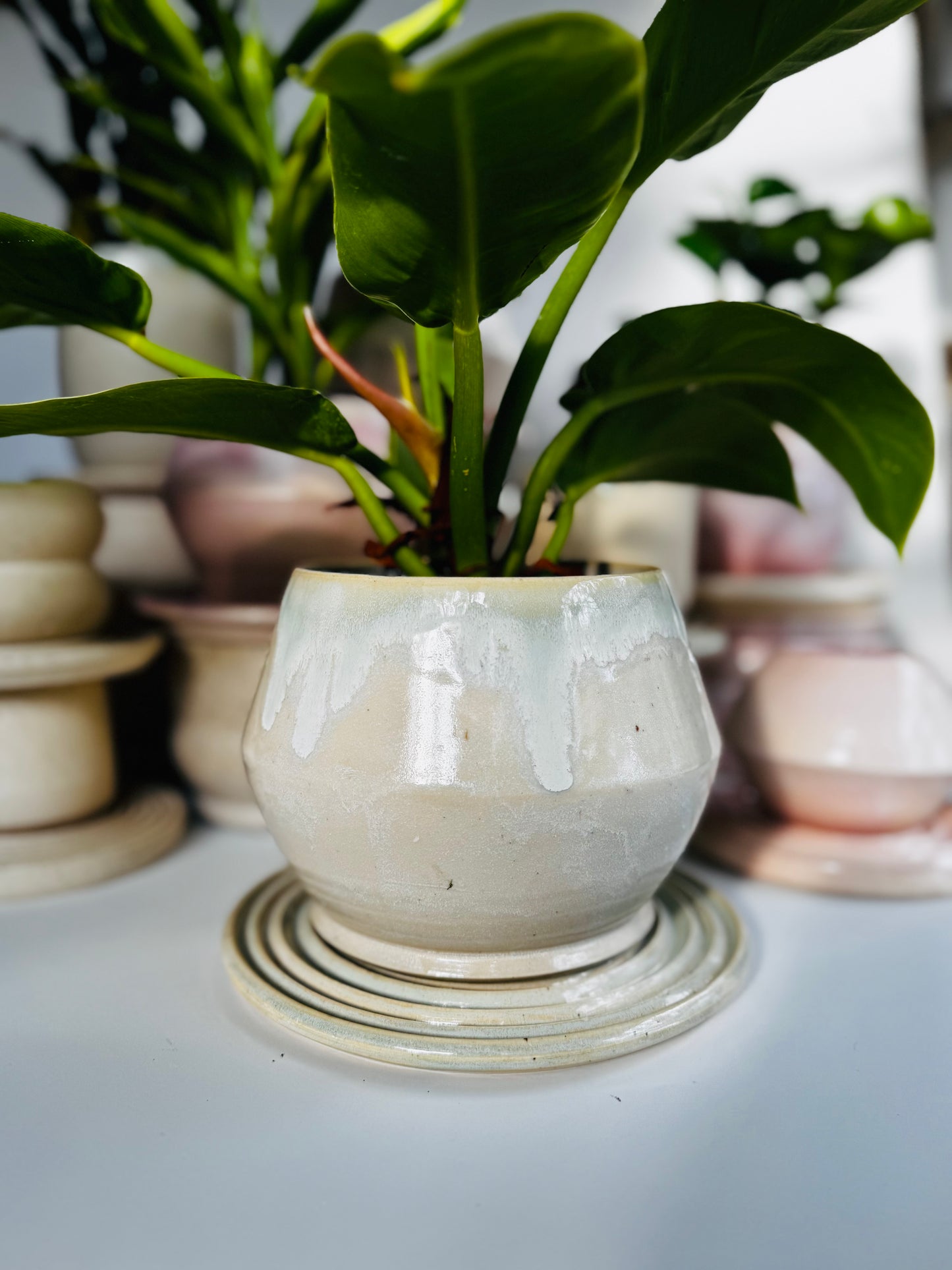 Soft Edges Hexa Planter, Moss Gloss