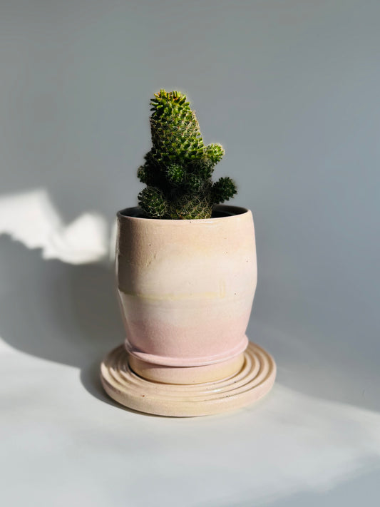 Small Hexa Planter