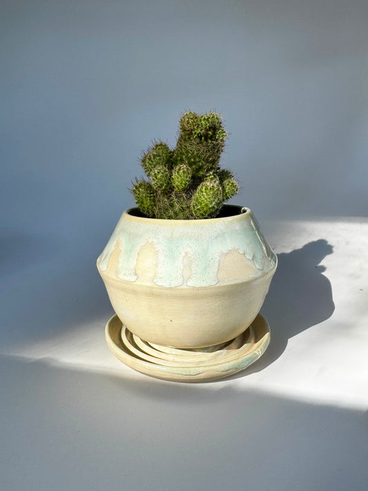 Moss Matte Teardrop Planter, Small