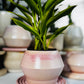 Blushing Matte Teardrop Planter