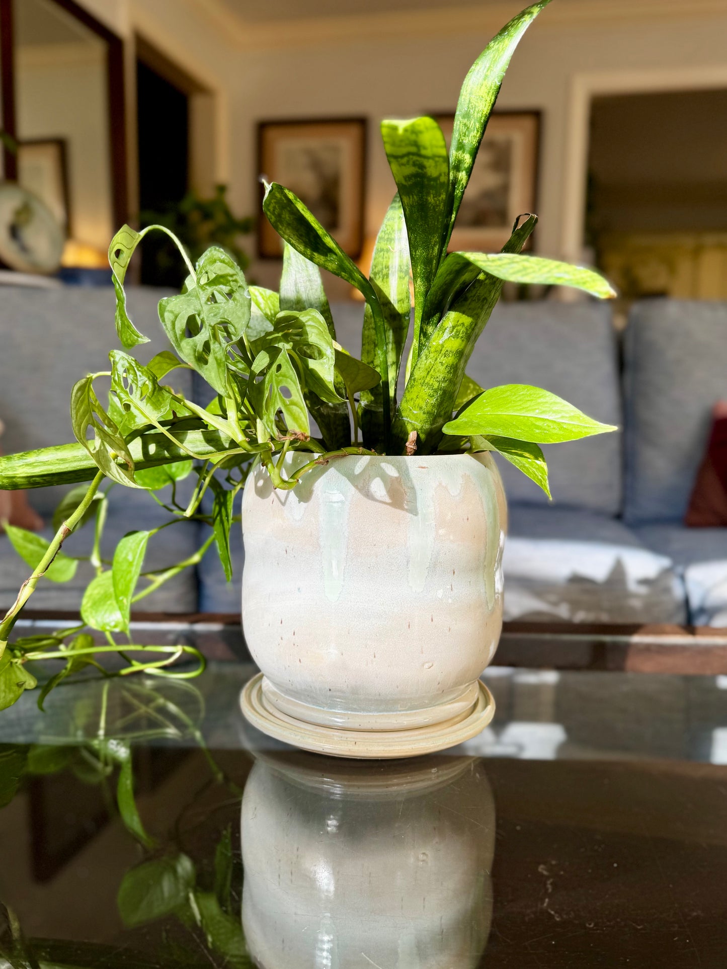 Large Jelly Roll Planter, Moss Gloss