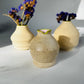 Bud Vase Mini’s
