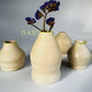 Bud Vase Mini’s