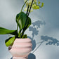 Cascading Planter, Medium - only from Rita Strayer Ceramics of Savannah - view of planter in use with an orchid plant