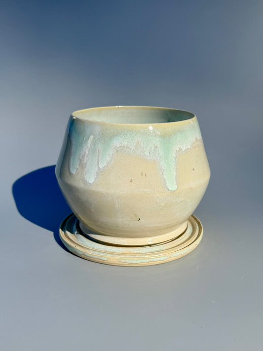 Soft Edges Hexa Planter, Moss Gloss