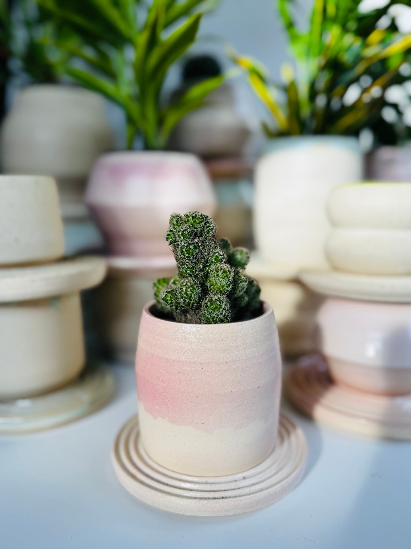 Blushing Matte Tumbler Planter, Small