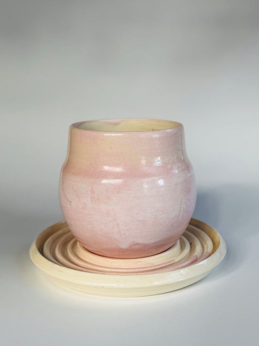 Blushing Matte Roly Planter